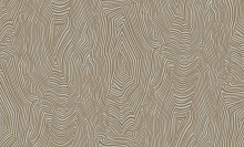Bernardo Bartalucci Spazio 84173-6