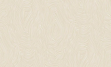 Bernardo Bartalucci Spazio 84173-2