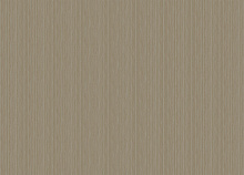 Обои в тропическом стиле Zambaiti Architexture 2 Z57710