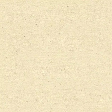 Rasch Concrete 520842