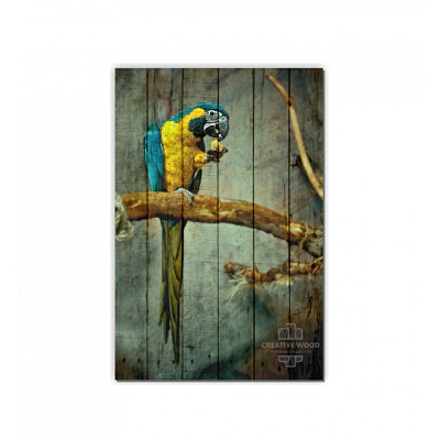 Картины ZOO - 6 Попугай, ZOO, Creative Wood