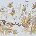 Madagascar 15