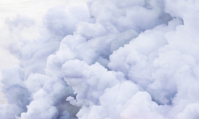 Фотообои Euphoria-2019: 20, EUPHORIA-2019, Wall street Фотообои Euphoria-2019: 20, EUPHORIA-2019, Wall street